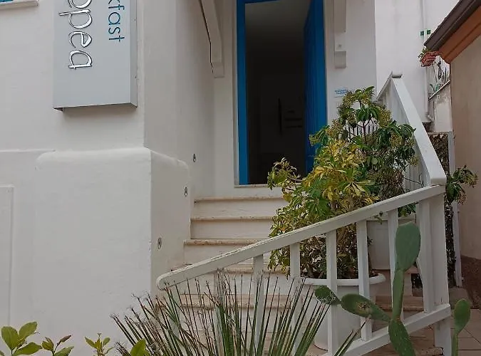 Double Room, Air Conditioning, Bathroom, In The Center Of Calabria N6783 Bed & Breakfast Tropea